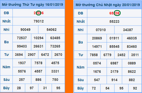 Dàn báo chạm 0 nuôi trong 3 ngày